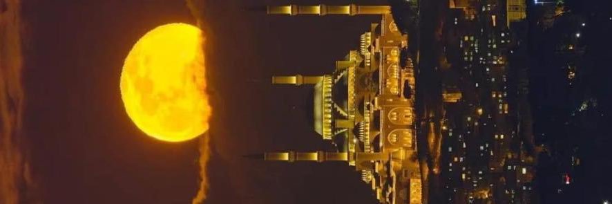 امین الله عمیر banner