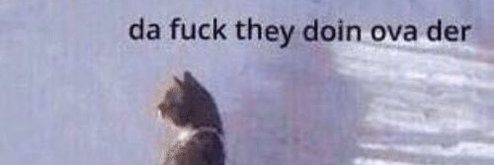 Nokey banner