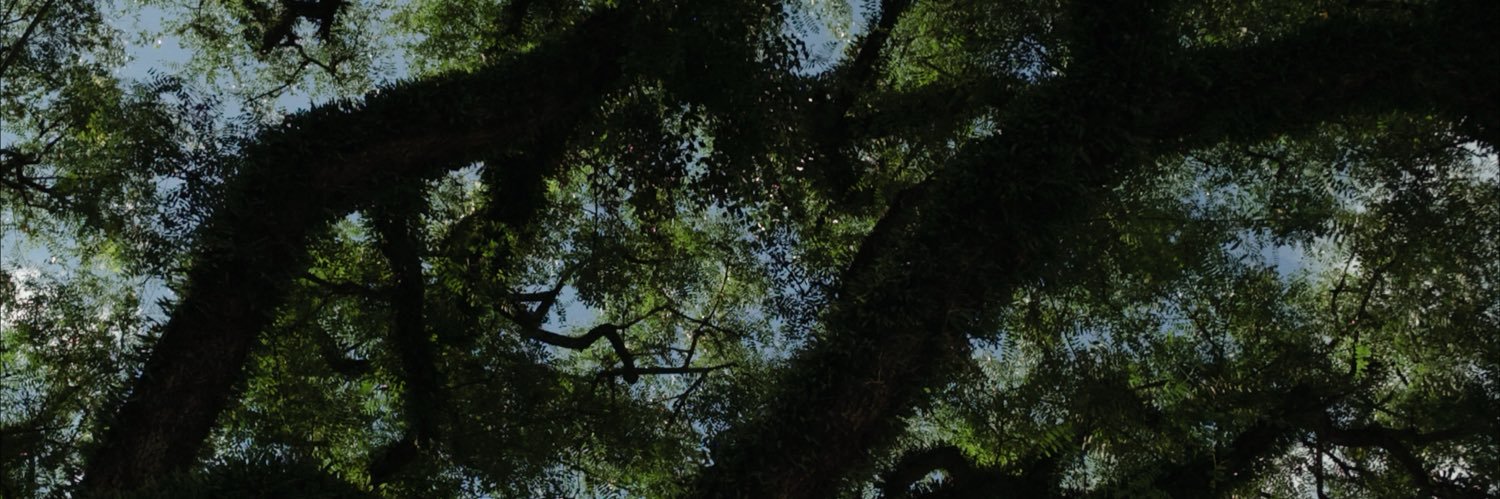 eduardariibero's profile banner image