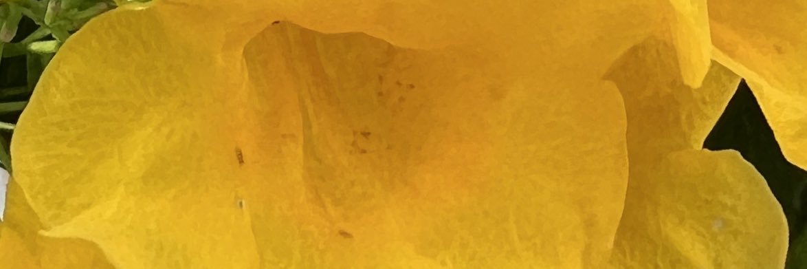 MMMANOW2's profile banner image
