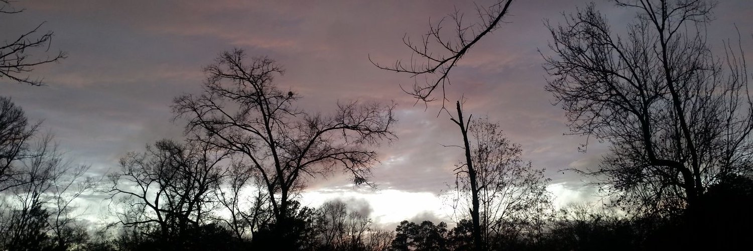 Anwart AKA Chilango Solitario banner