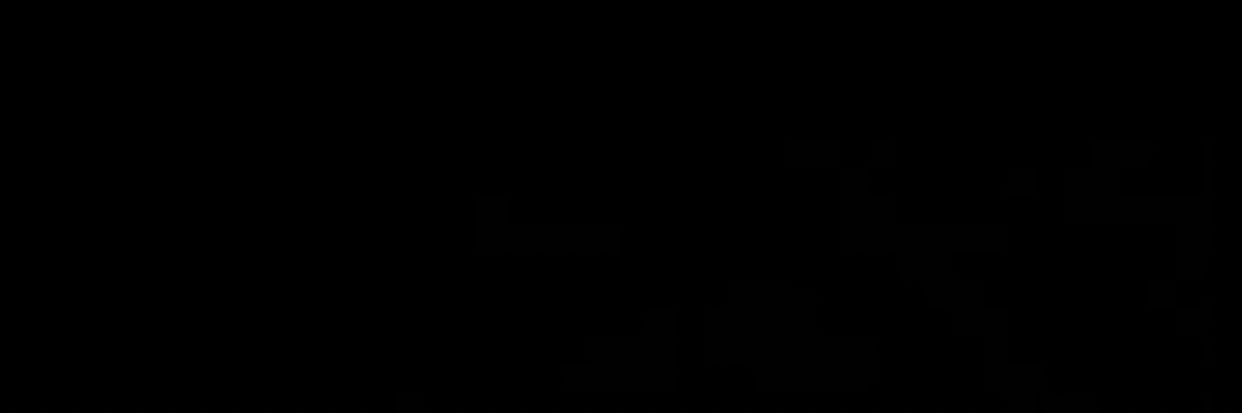 noixdenini's profile banner image