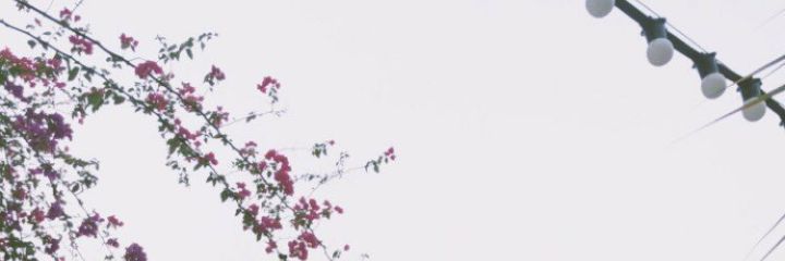 yoopiyoo's profile banner image