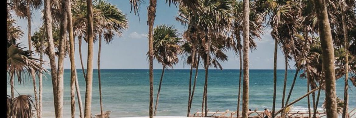 Martamaariin's profile banner image