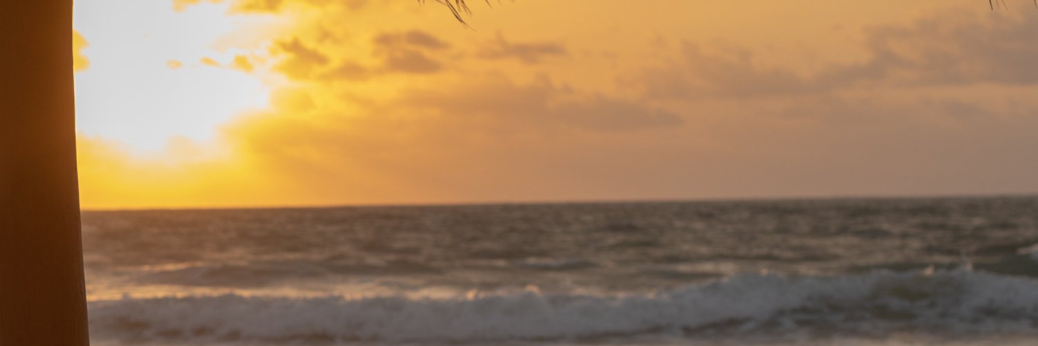 RogOsb's profile banner image