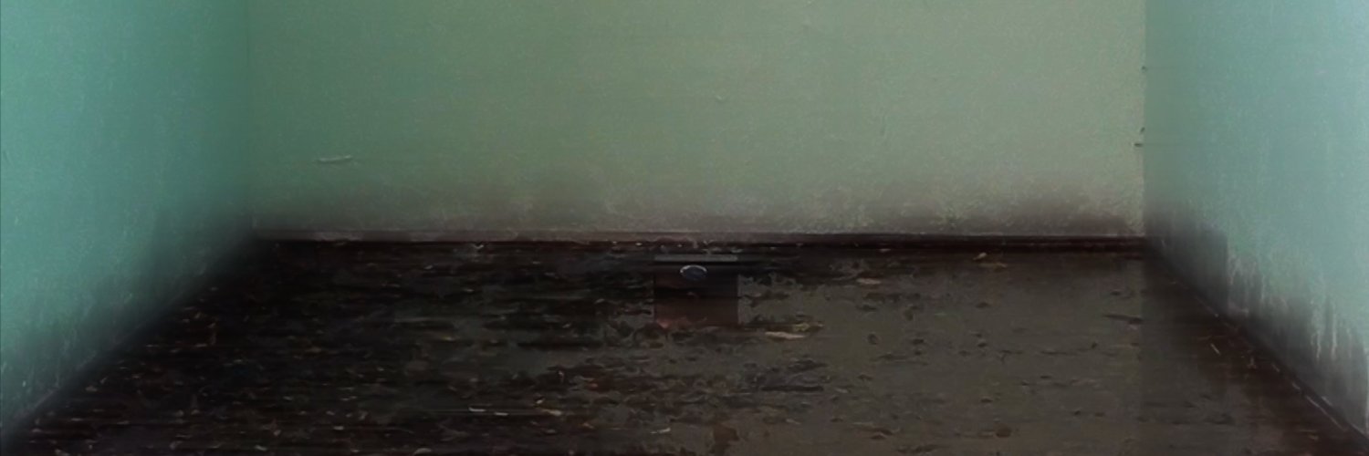 williamwildband's profile banner image