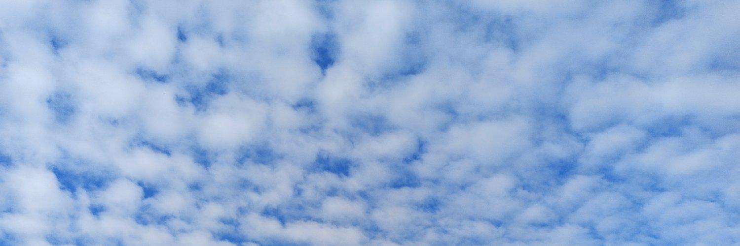 Osman Soyveren banner