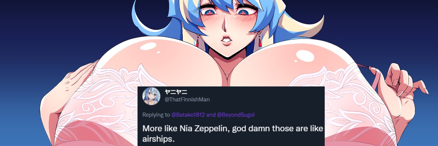 Nia Zeppelin banner