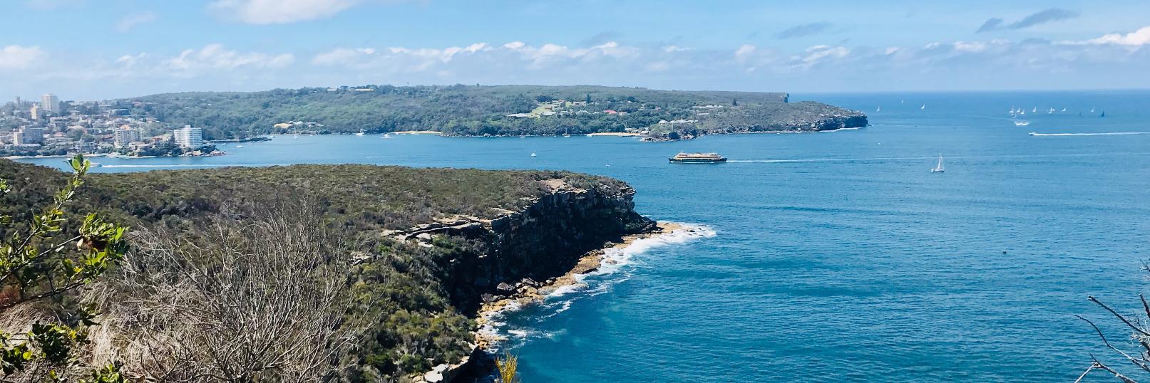 Denovan P Begg banner