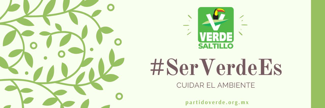 saltillo_verde's profile banner image
