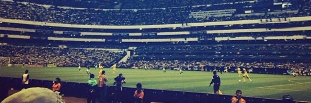 bichoaleman's profile banner image