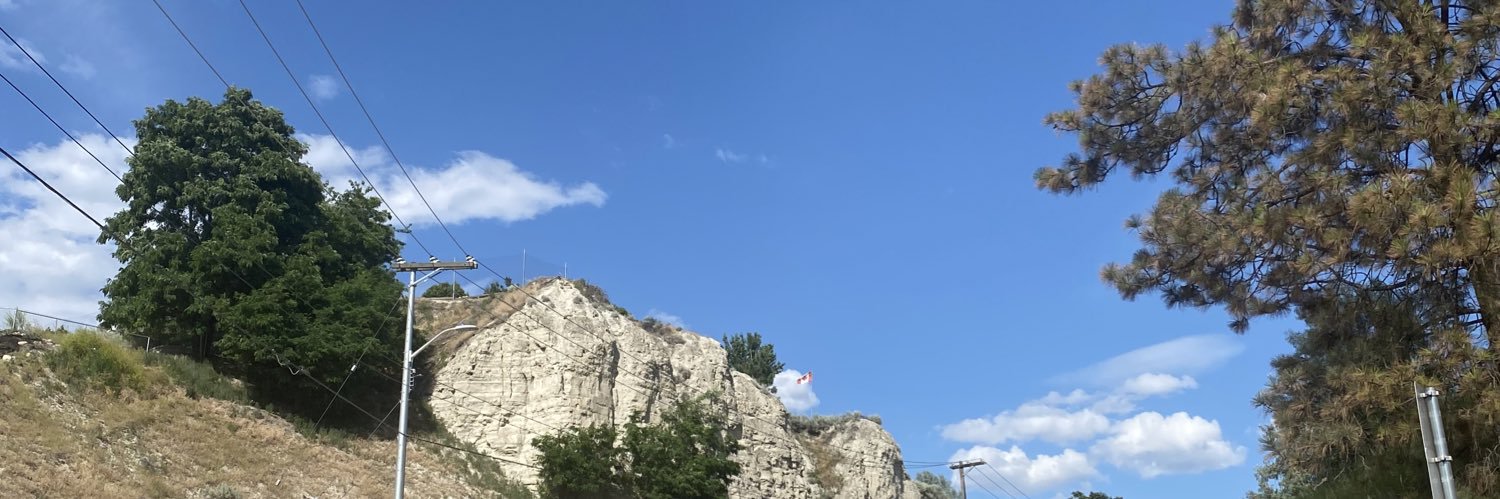 Banshee banner