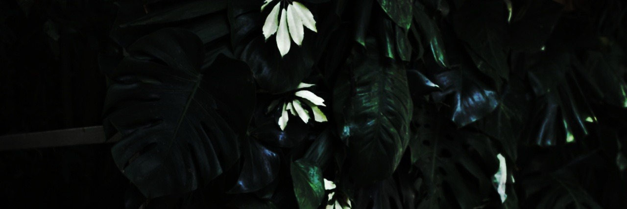 Johnetblack's profile banner image
