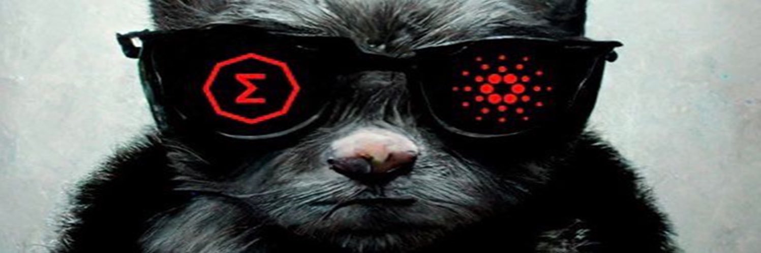 ergopat's profile banner image