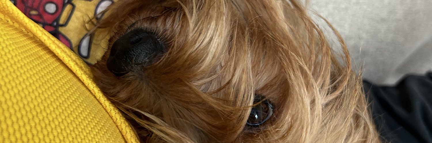 sosopretaa's profile banner image