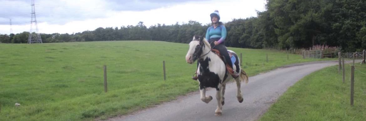 CHLOË JOHNSON banner