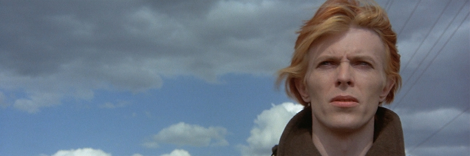 Daniel Williams banner