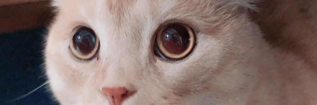 Shintaro_rad's profile banner image