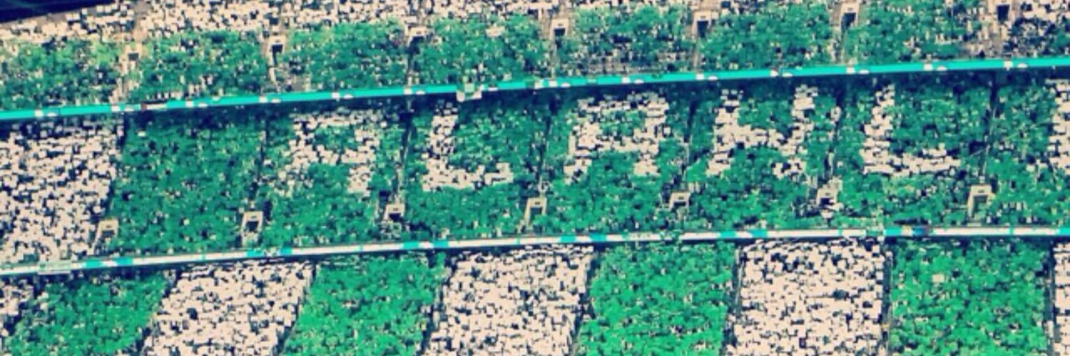 Heba_A_Turk's profile banner image