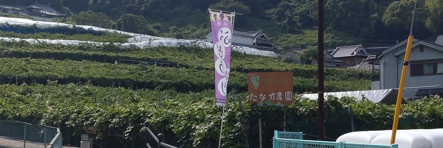 budou102000's profile banner image