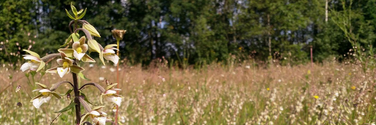 ISEB Seminar Series UZH banner