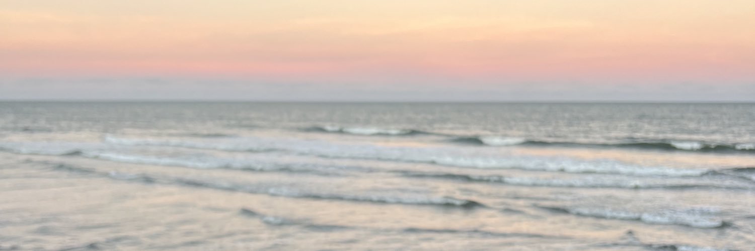 luana_bottaro's profile banner image