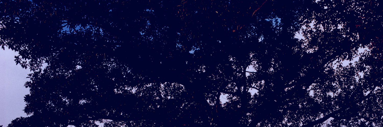 RachelMcLean's profile banner image