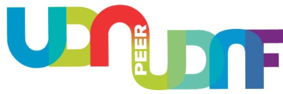 UDN PEER's banner