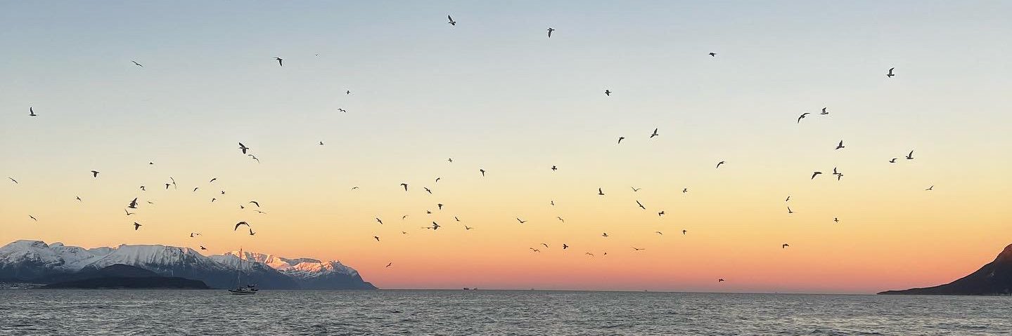 aitaaa97's profile banner image