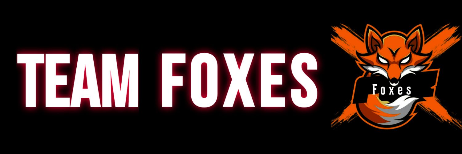 Team Foxes banner