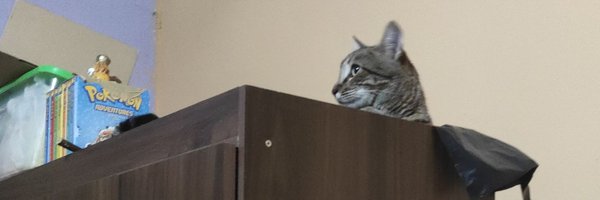 WebsukeU Profile Banner