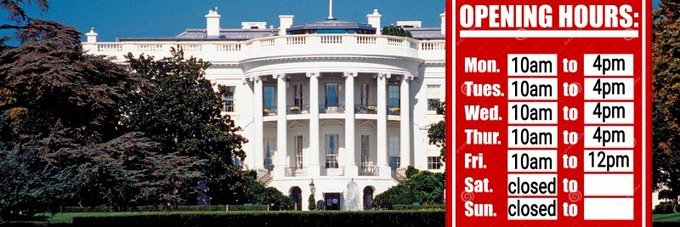 Baby Lives Matter TY Elon! banner