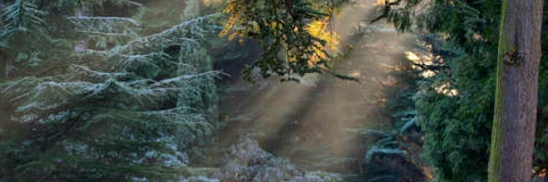 albdr832's profile banner image