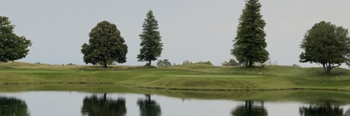 BasementGolf banner