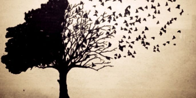 Alam_prass's profile banner image