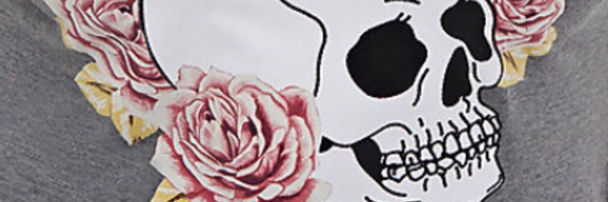 theswiftembarks's profile banner image