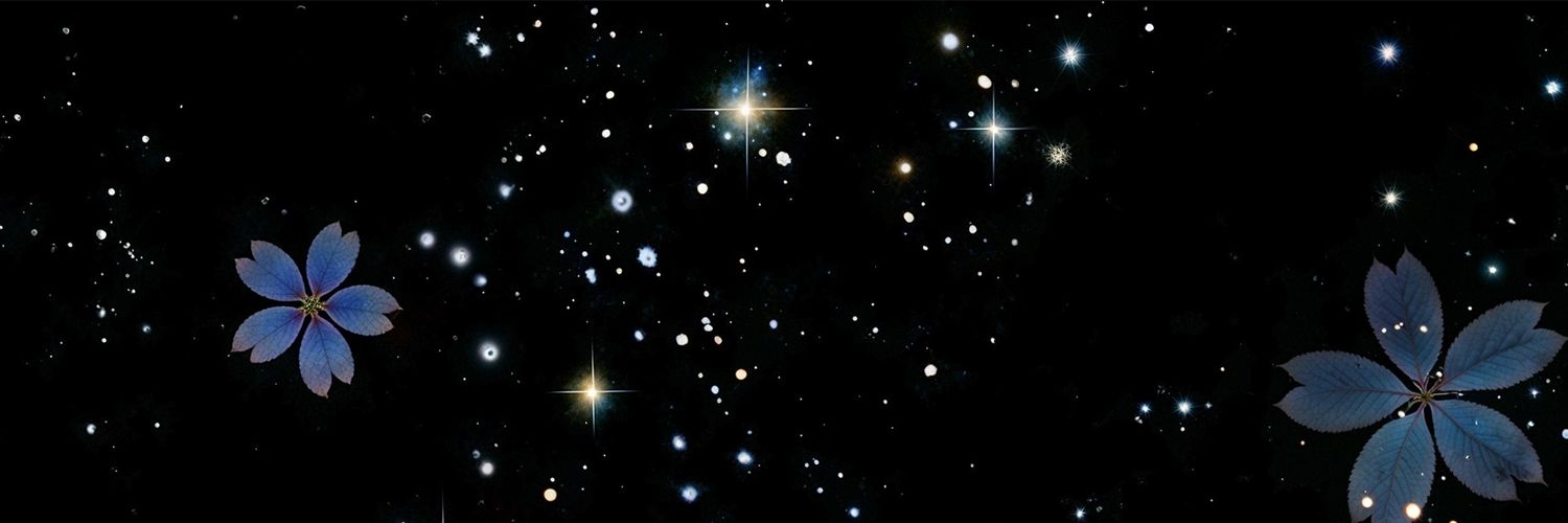 Flore 𖤐๋ ࣭ ⭑ banner