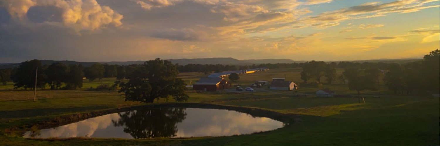 Sydney Czanstkowski banner