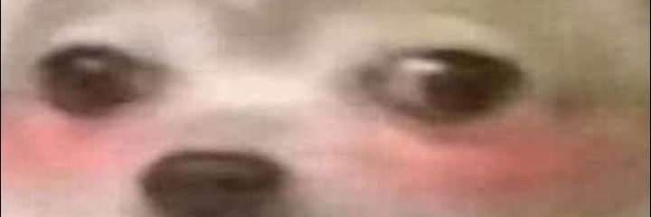 Jesús__rhee banner