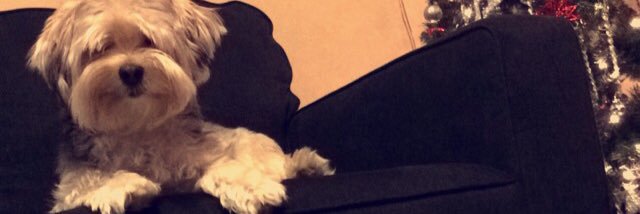 bickyyy2975's profile banner image