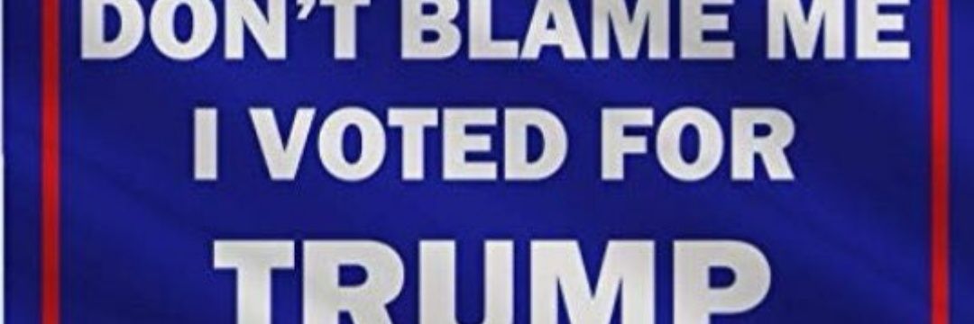 BeeKeeperBearSablon banner