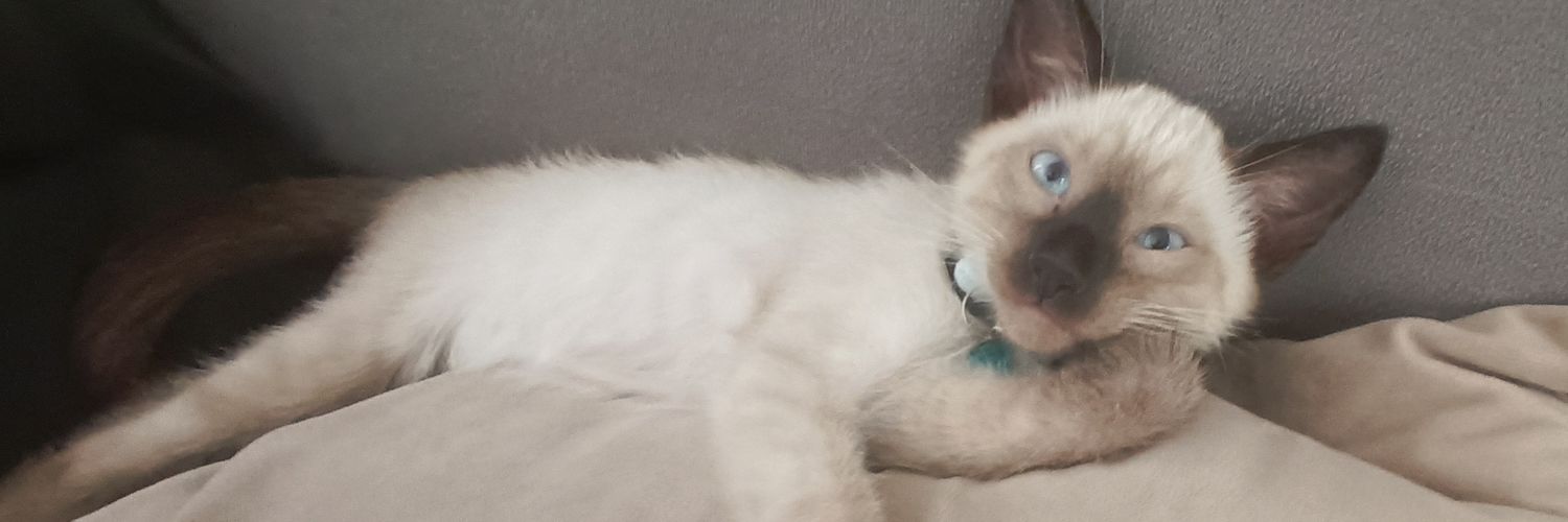 guspiradp's profile banner image