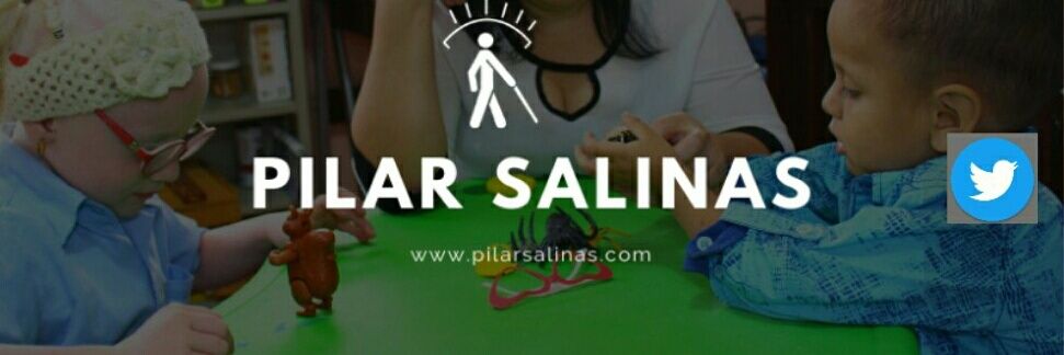 Escuela Para Ciegos Pilar Salinas (@PS_paraciegos) / Posts / X