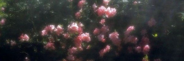 ociopio Profile Banner