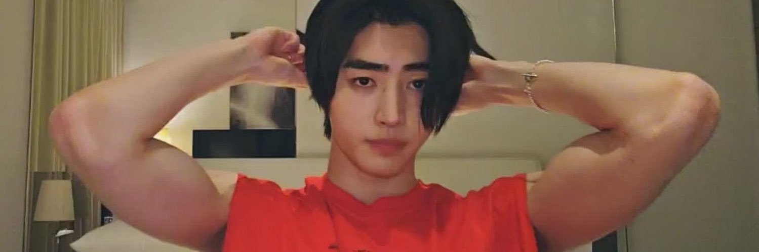liu ✦ fan account banner