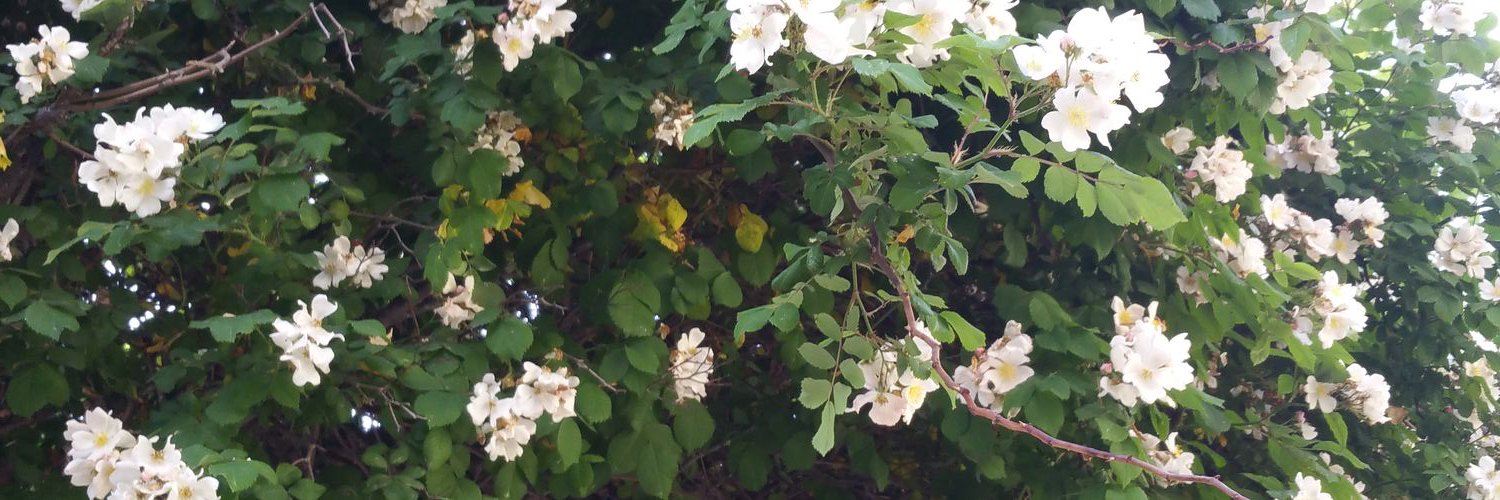 beeyou_'s profile banner image