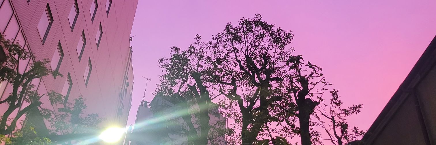 mn37mn's profile banner image
