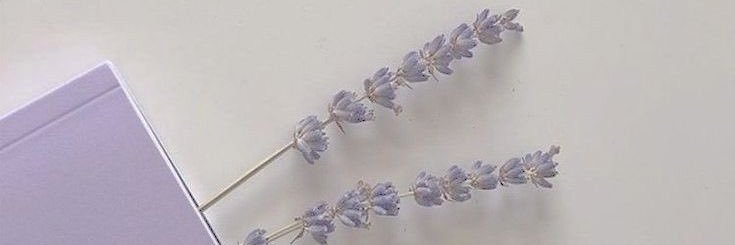 saviee_8's profile banner image