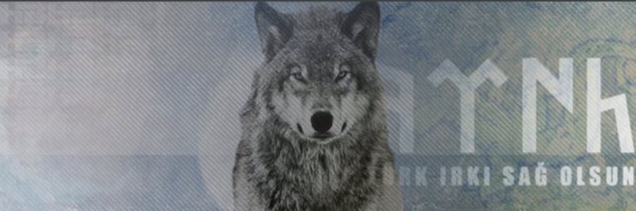 edda_Islek's profile banner image