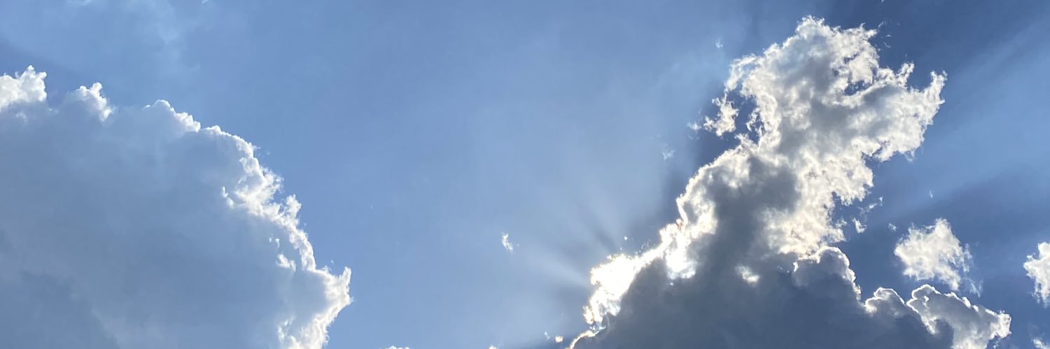 Sheoneflychick's profile banner image